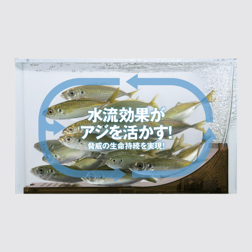 水流効果を説明するメーカー画像。魚の向きと流れを矢印で示した説明で、本記事独自の保持試験の写真ではありません。