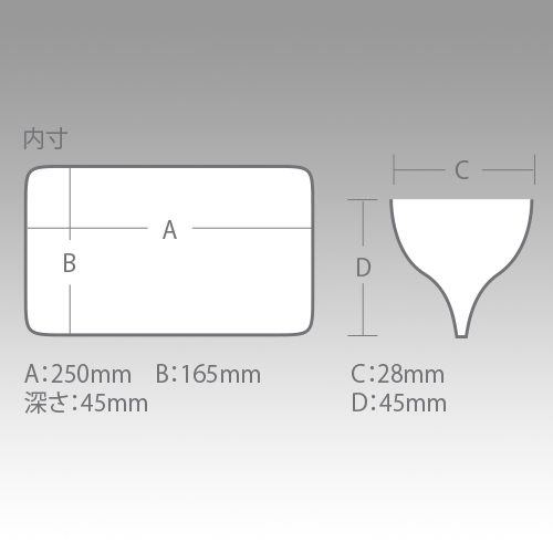 メーカーの165N内寸図。A250mm・B165mm・深さ45mm、区画断面C28mm・D45mmと記載されています。